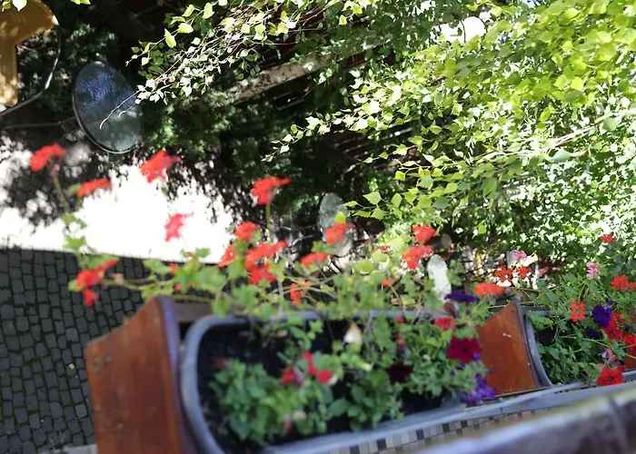 Sia